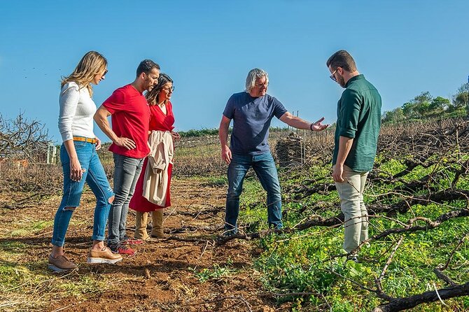 Tenerife Bodegas Monje Winery Tour with Wine and Cheese Tasting - Practical details that affect your day