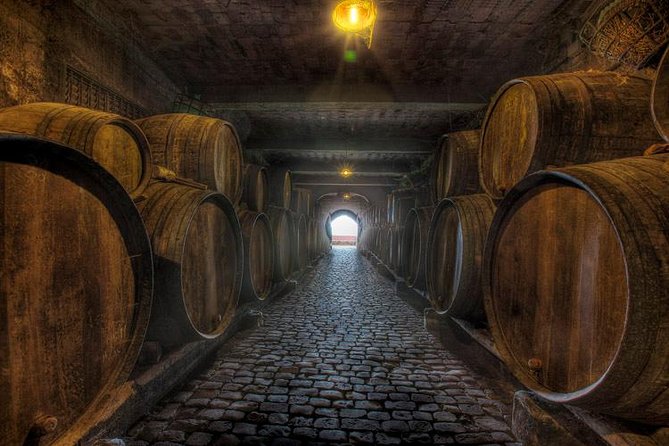 Tenerife Bodegas Monje Winery Tour with Wine and Cheese Tasting - Four wines, four cheeses, and a useful tasting lesson