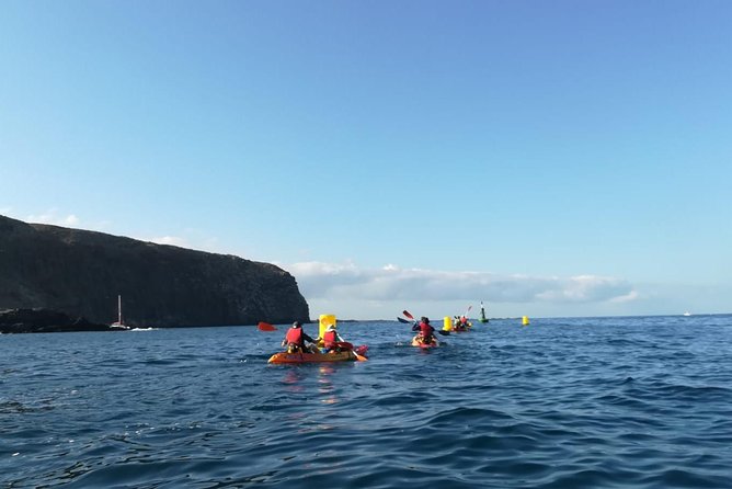 Tenerife by Kayak Adventure in small group - Key points to know before booking