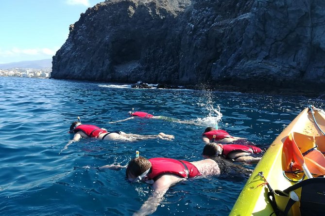 Tenerife by Kayak Adventure in small group - Dolphins, turtles, and the right wildlife expectations