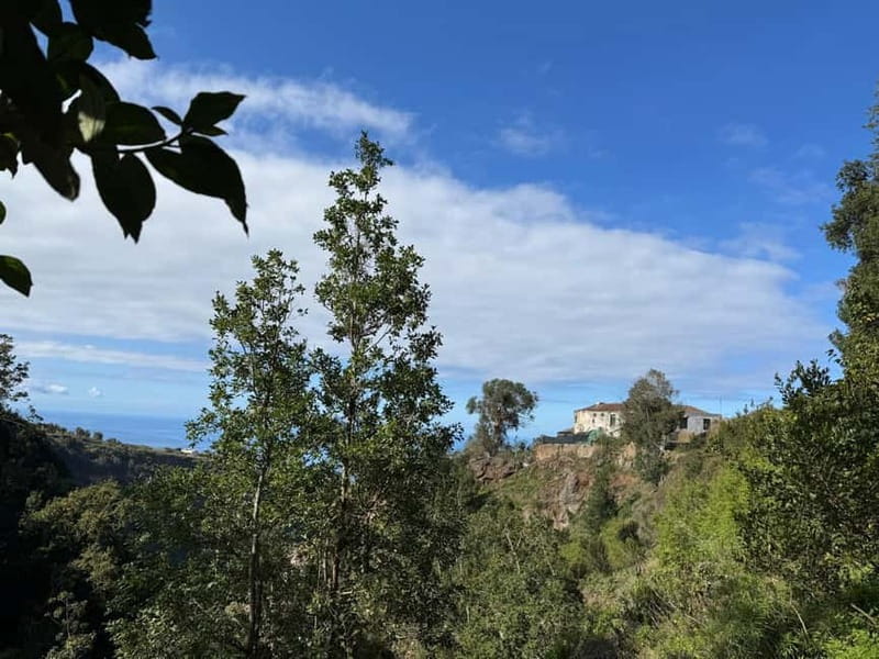 Tenerife: Canary History and Color Potatoes - Why colored potatoes are the real attraction