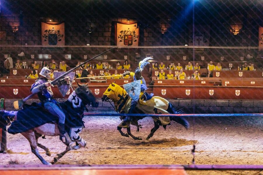 Tenerife: Castillo San Miguel Medieval Show with Dinner - Who should book Castillo San Miguel?