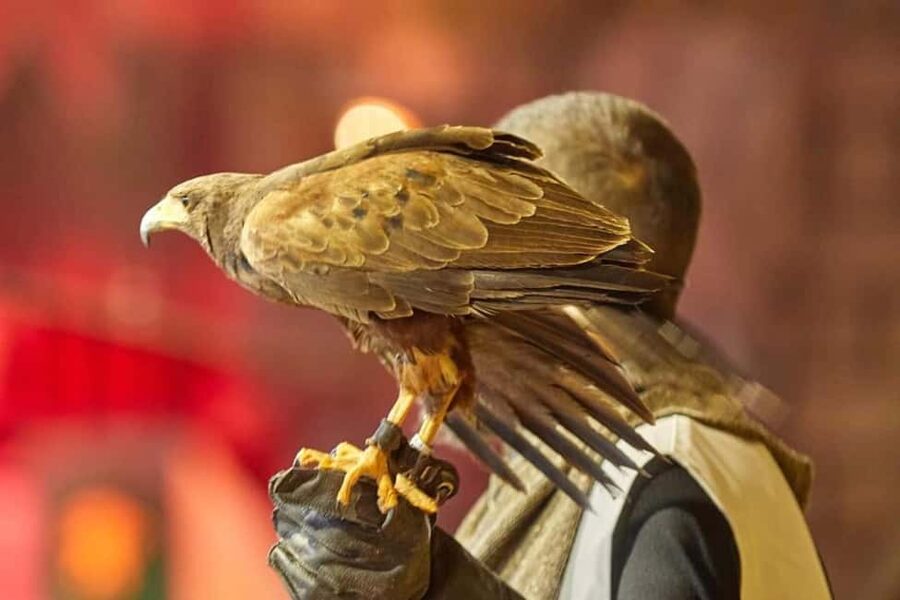 Tenerife: Castillo San Miguel Medieval Show with Dinner - Entering a 6,000-square-meter castle in Tenerife
