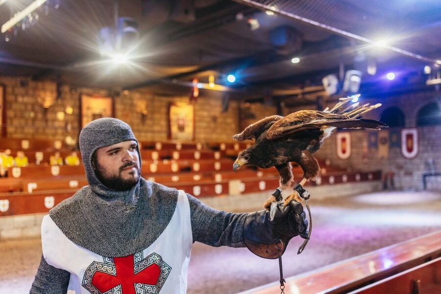 Tenerife: Castillo San Miguel Medieval Show with Dinner - Eating dinner while the knights perform
