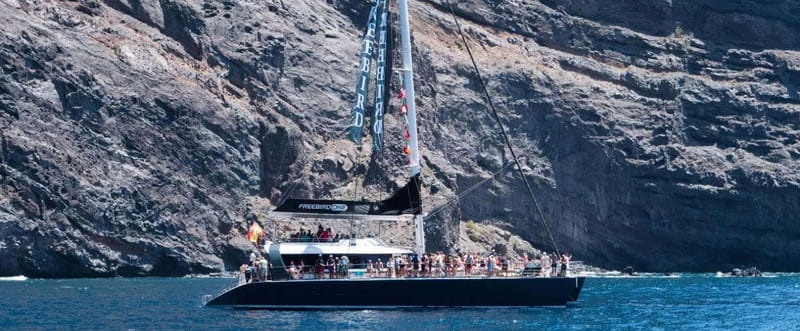 Tenerife: Catamaran Cruise with an Open Bar - Getting to the marina from southern Tenerife