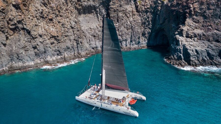 Tenerife: Catamaran Cruise with Brunch and Unlimited Drinks - Searching for whales near Punta Rasca