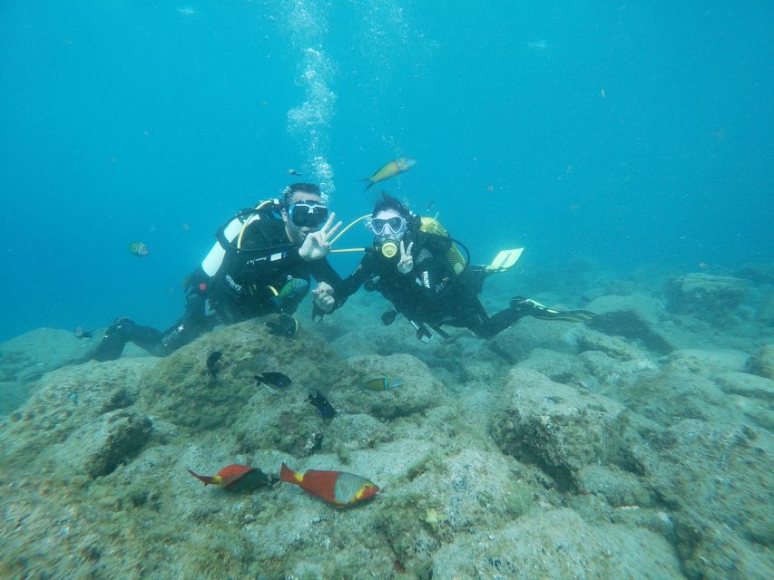 Tenerife: Costa Adeje Private Diving Lesson Experience - What the Costa Adeje session is really like