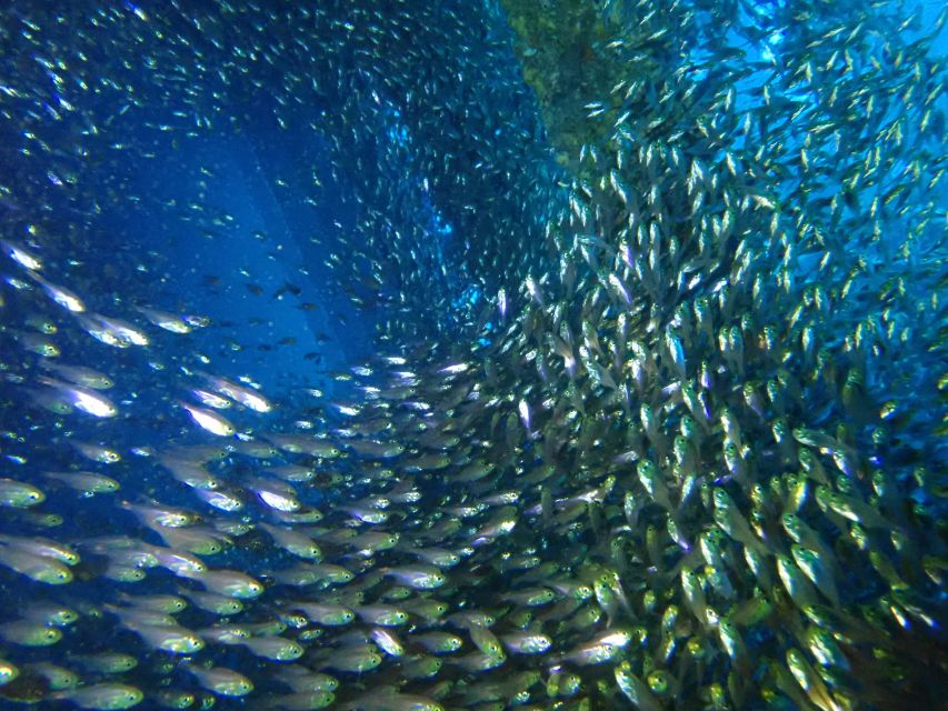Tenerife: Costa Adeje Private Diving Lesson Experience - Why patient instructors matter for beginners