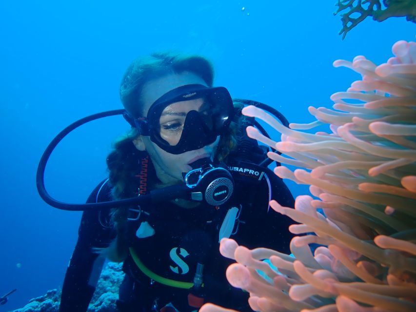 Tenerife: Costa Adeje Private Diving Lesson Experience - The flight and high-altitude rule is easy to miss