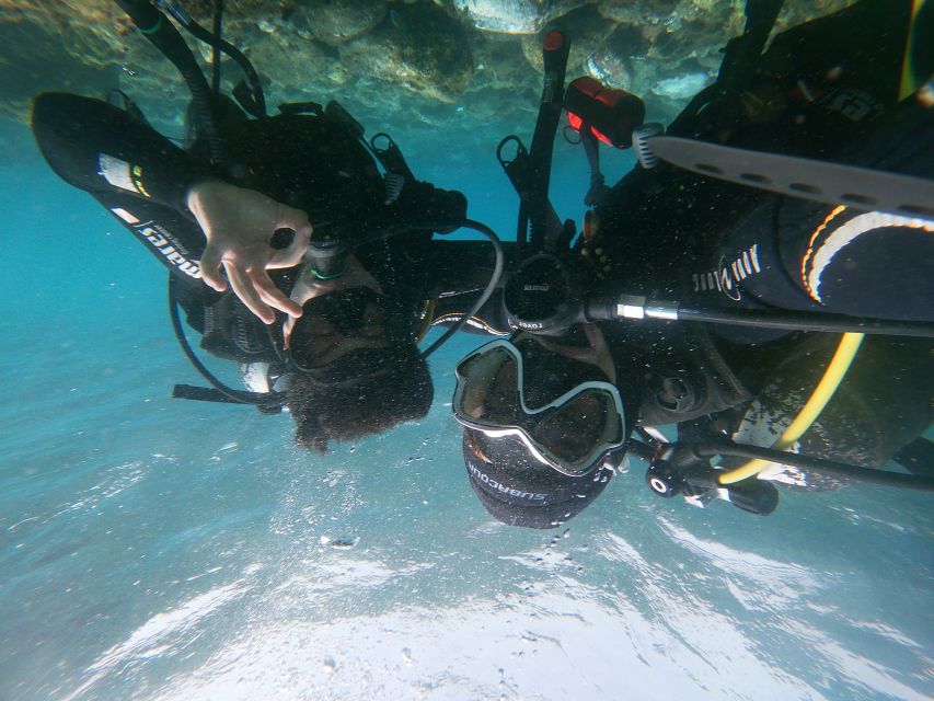 Tenerife: Costa Adeje Private Diving Lesson Experience - Who should book the Costa Adeje lesson?