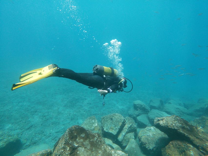 Tenerife: Costa Adeje Private Diving Lesson Experience - Practical planning before you arrive