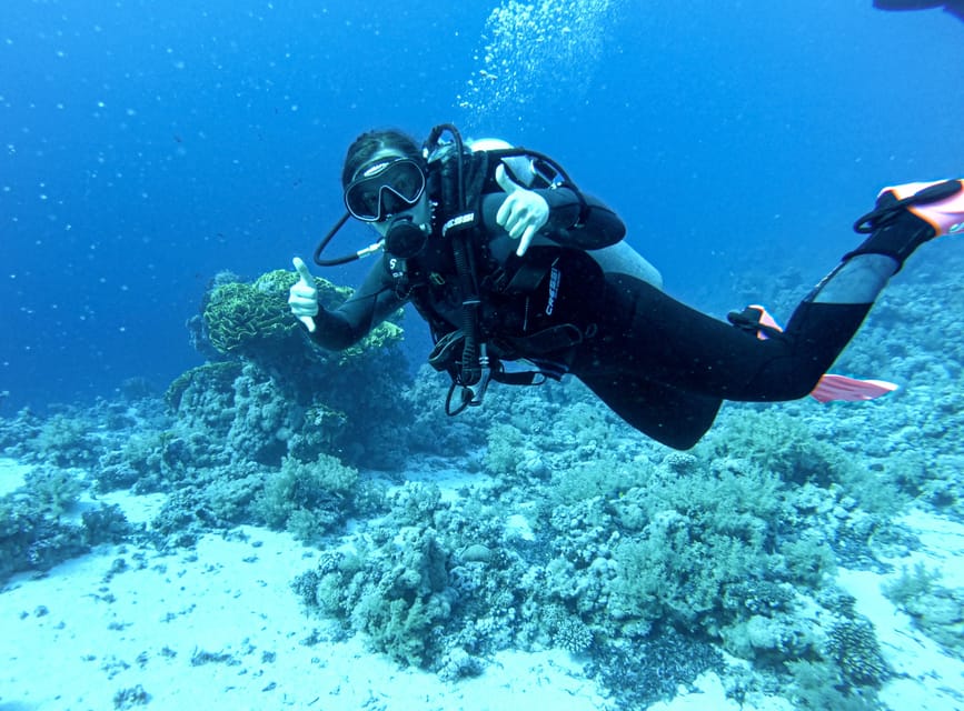 Tenerife - Discover Scuba Diving Experience with Instructor - What the Tenerife session is really like