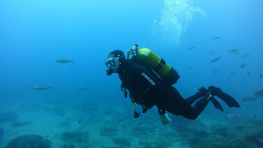 Tenerife: Discover Scuba Diving with Free Photos - Why Tenerife’s volcanic coast makes a good classroom