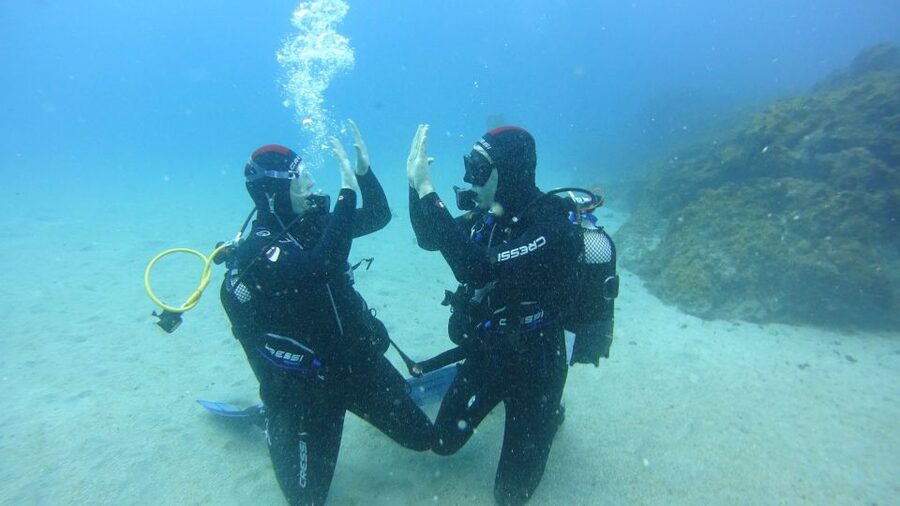 Tenerife: Discover Scuba Diving with Free Photos - The main underwater hour