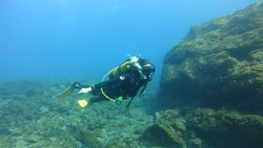 Tenerife: Discover Scuba Diving with Free Photos - Is $105 a fair price?