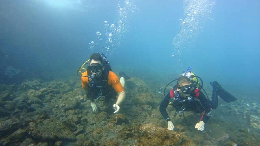 Tenerife: Discover Scuba Diving with Free Photos - What the strongest praise tells you