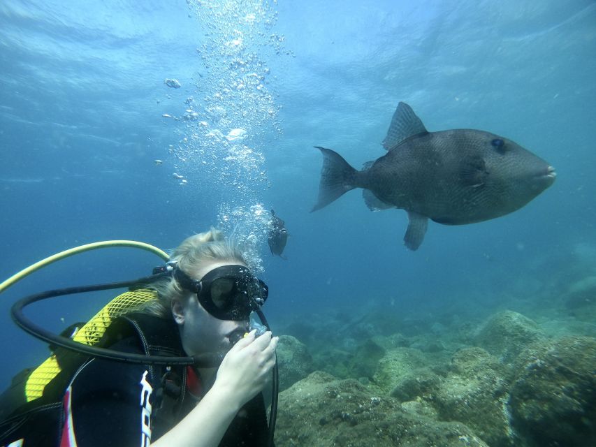 Tenerife : Diving License international in one day - Two sea sessions with a beach entry