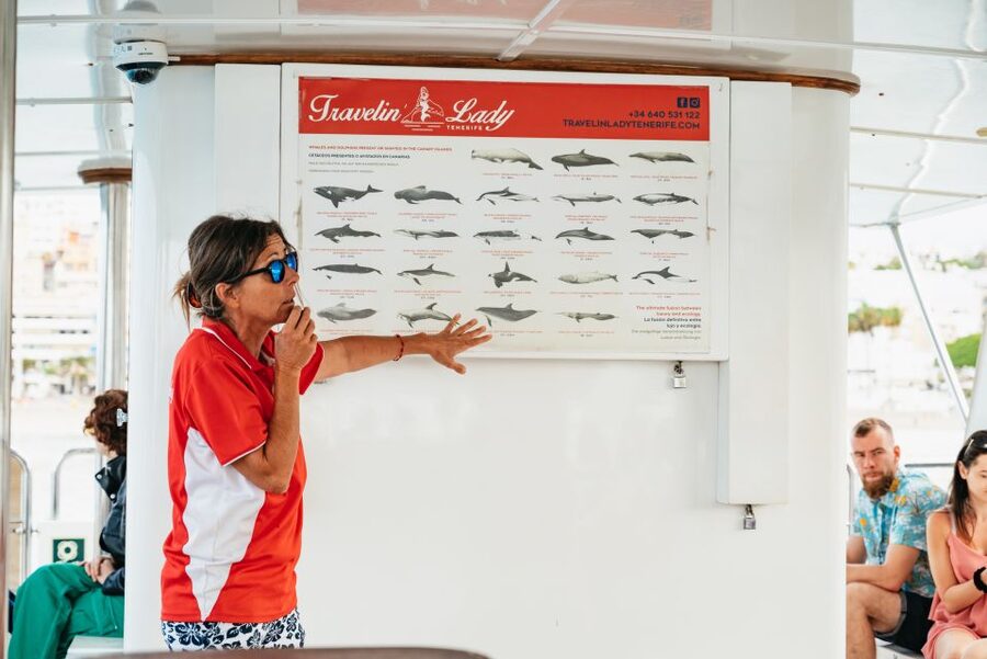 Tenerife: Eco-Yacht Whale and Dolphin Watching and Swimming - Key points to know before you book