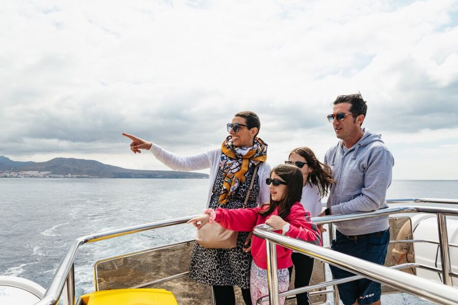 Tenerife: Eco-Yacht Whale and Dolphin Watching and Swimming - Who should book this experience