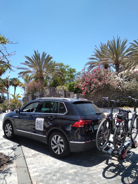 Tenerife: Electric Mountain Bike Rental with Hotel Delivery - Booking details that deserve attention