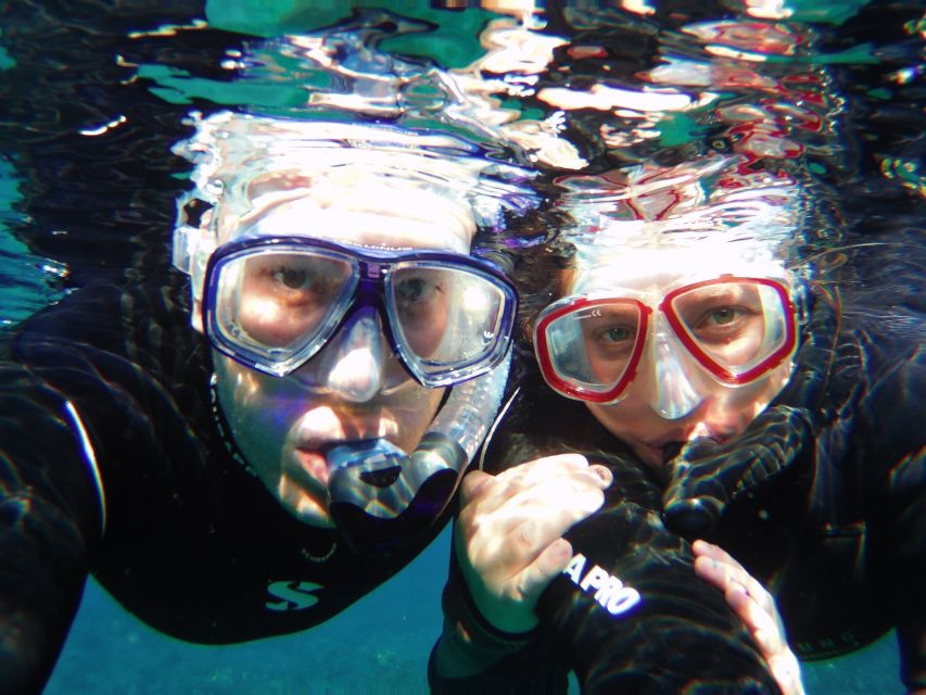 Tenerife Exclusive Snorkeling Trip with Marine Biologist - What the three hours feel like