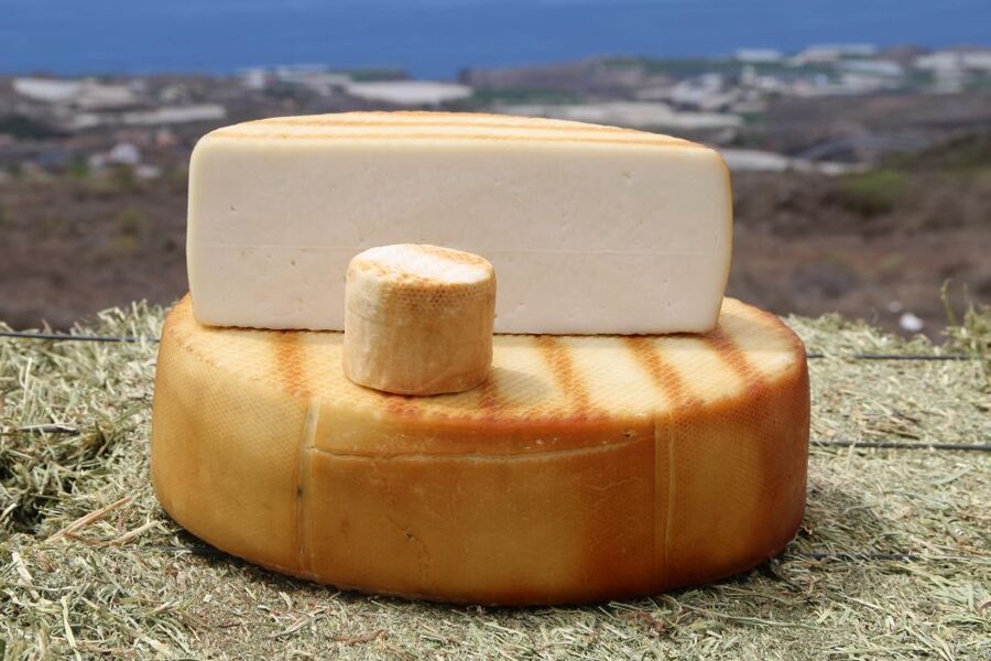 Tenerife - Farm Tour with Cheese Tasting - Key points to know before you book