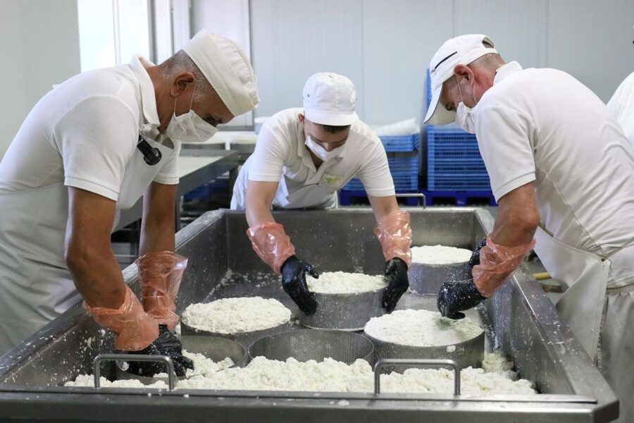 Tenerife - Farm Tour with Cheese Tasting - Inside the cheese factory
