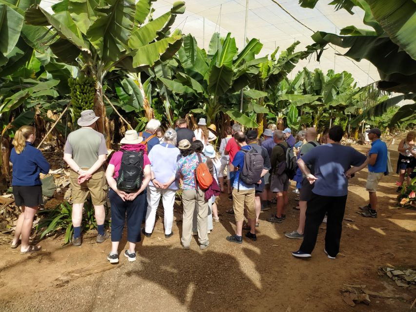 Tenerife: Finca Las Margaritas Banana Plantation Experience - The self-guided route and its eight information boards