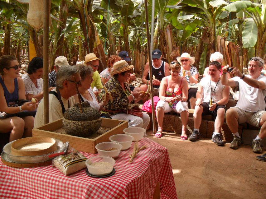 Tenerife: Finca Las Margaritas Banana Plantation Experience - Timing, weather, and what to bring