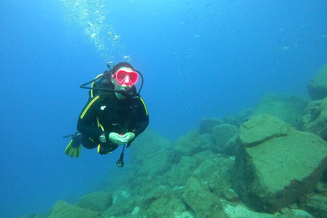 Tenerife First Time Scuba Dive – Turtle Habitat, Small Groups - Puerto Colón and the boat ride