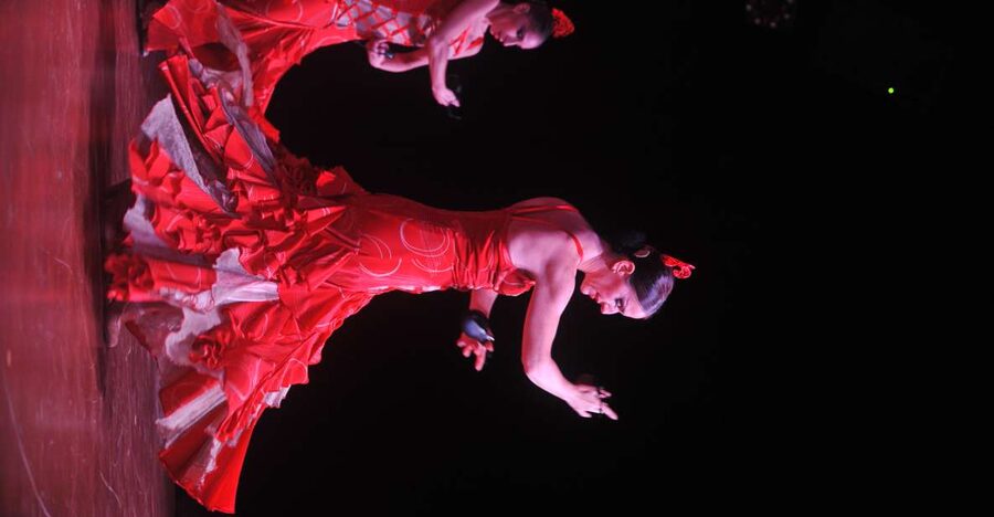 Tenerife: Flamenco Performance at Teatro Coliseo - Key points to know before booking