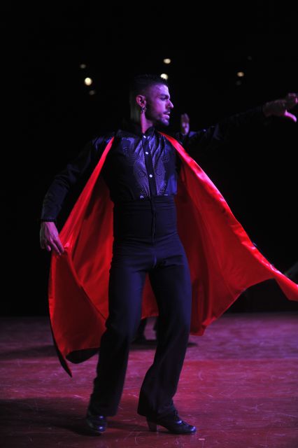 Tenerife: Flamenco Performance at Teatro Coliseo - Costumes, musicians, and the quality of the production