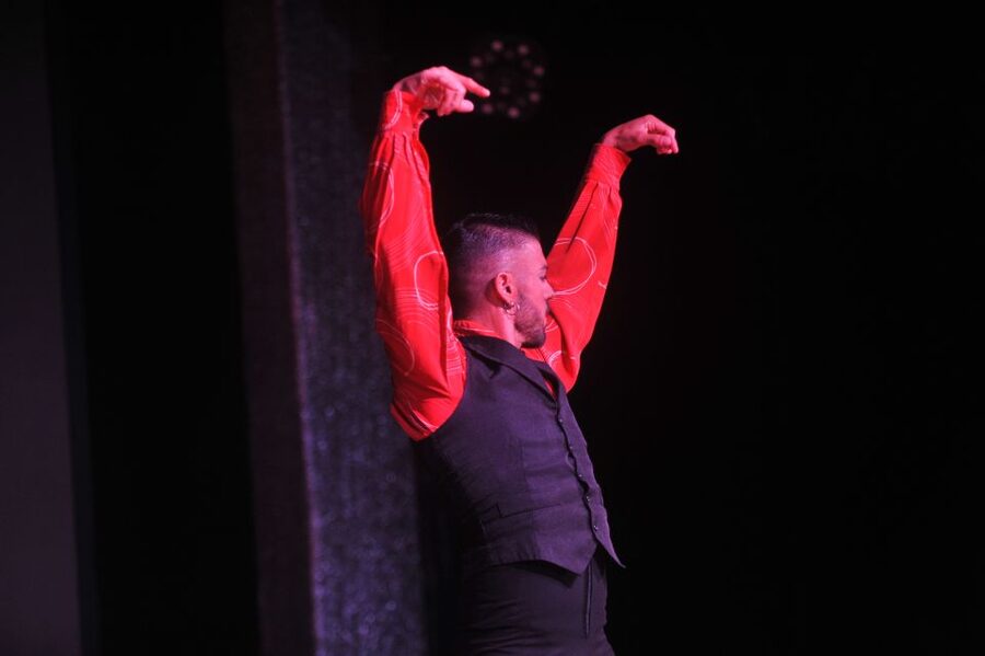 Tenerife: Flamenco Performance at Teatro Coliseo - Who will enjoy this Tenerife evening?