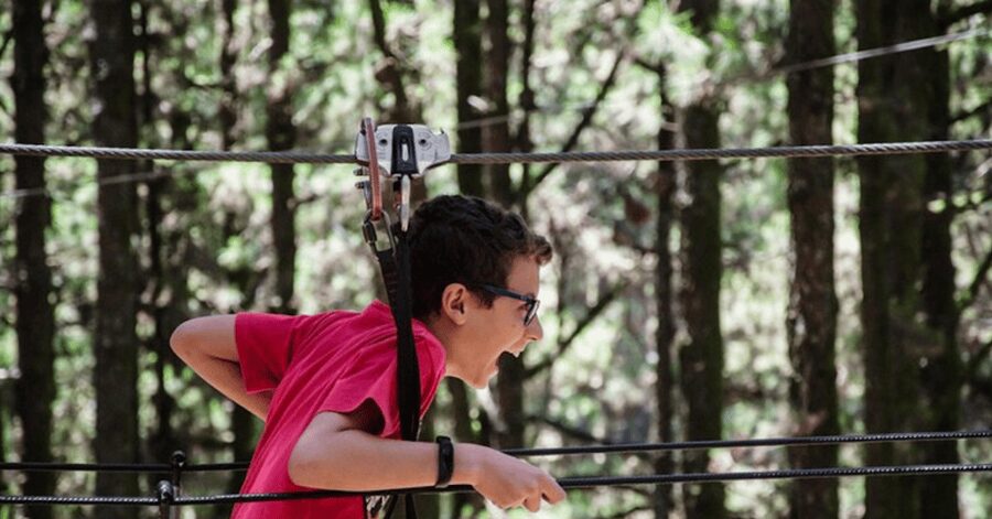 Tenerife: Forestal Park Tenerife Entry Ticket - Is $31 good value for three hours?
