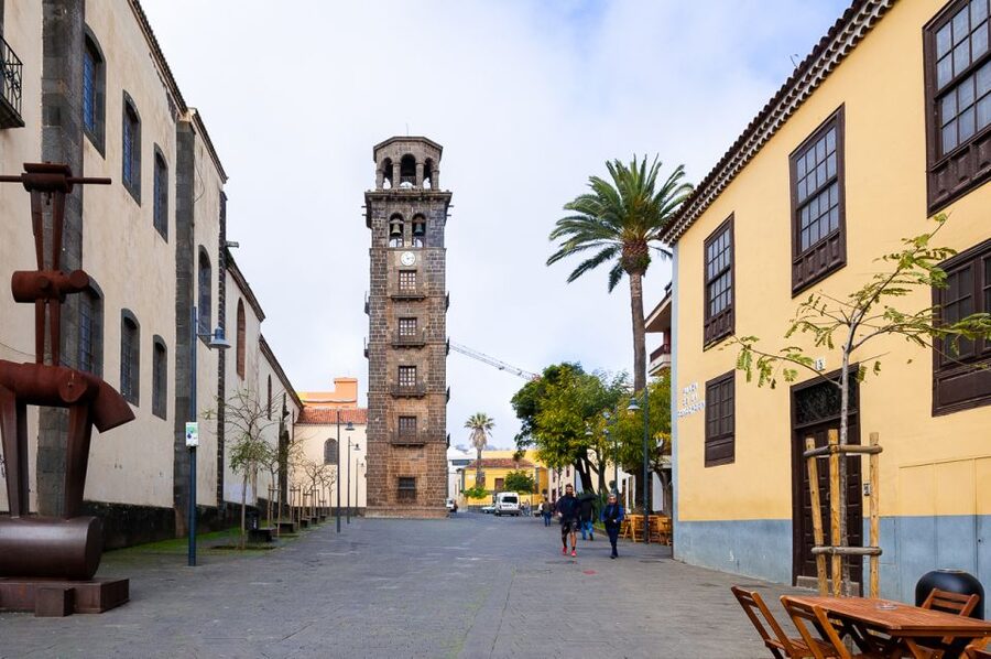 Tenerife: Full-Day Gastronomy and Wine Tour - From the south coast to La Laguna