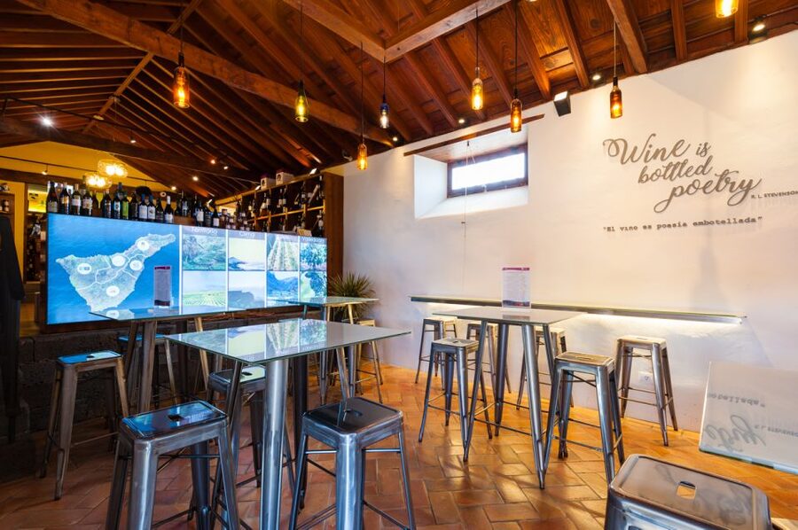 Tenerife: Full-Day Gastronomy and Wine Tour - The winery visit and terrace choice