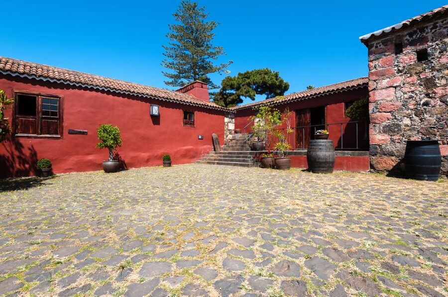 Tenerife: Full-Day Gastronomy and Wine Tour - Who should book this Tenerife food tour?