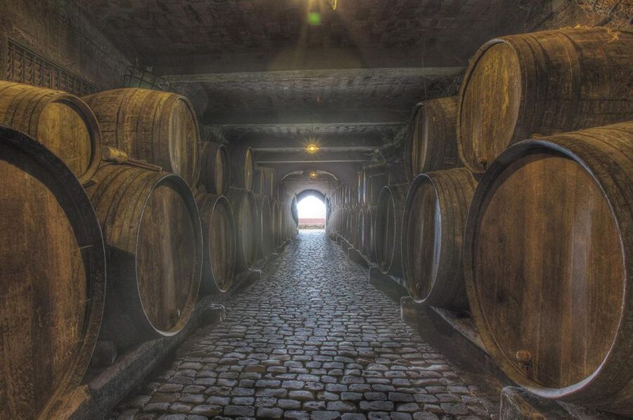 Tenerife: Full-Day Gastronomy and Wine Tour - My verdict: a generous day with a few rough edges