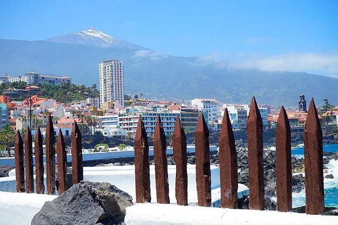 Tenerife Full Island Tour - Minivan promise, coach reality, and comfort