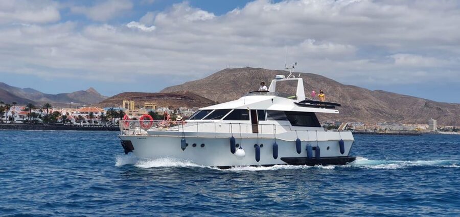 Tenerife: Fun Yacht Trip with Water Activities and Toys - The Palm Mar coast and the search for sea life
