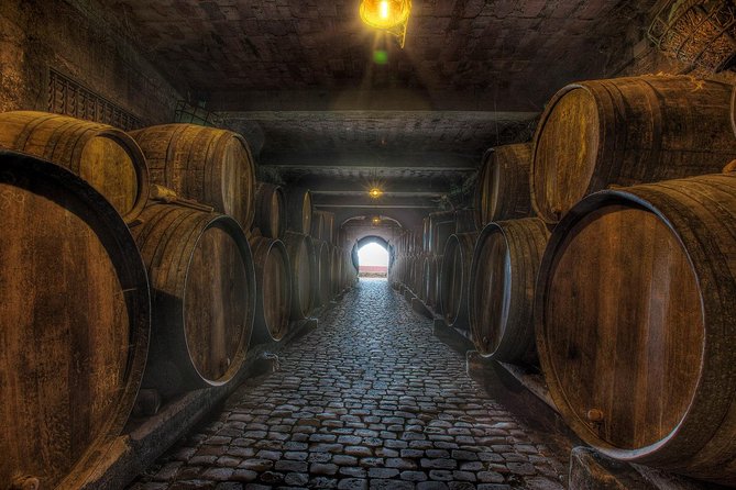Tenerife Gastronomy Tour with Two Winery Visits and 4-Course Lunch - Coach time is the price of seeing northern Tenerife