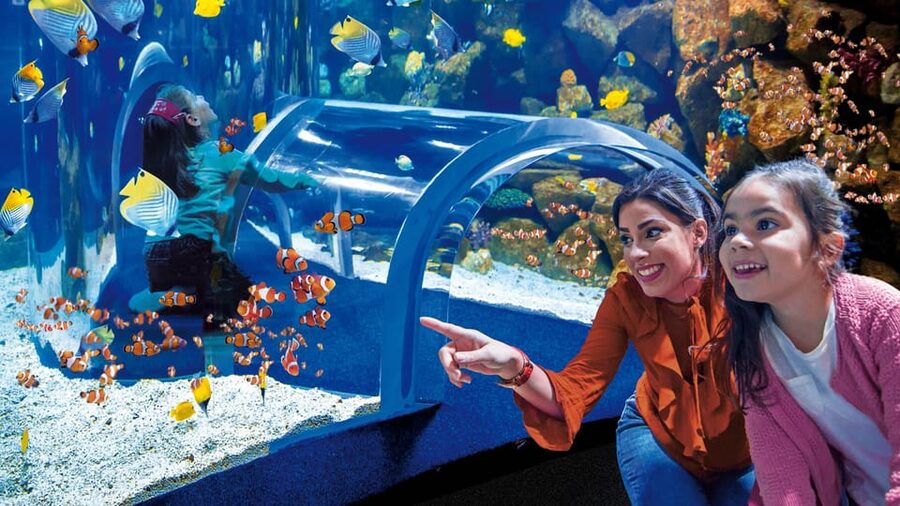 Tenerife: Gran Canaria Full-Day Guided Tour with Aquarium - Walking through Vegueta, Las Palmas’s old quarter
