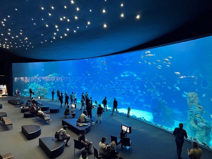 Tenerife: Gran Canaria Full-Day Guided Tour with Aquarium - The long-day tradeoff