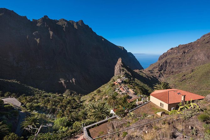 Tenerife Grand Tour: including Teide National Park and Masca - What the coach ride is really like