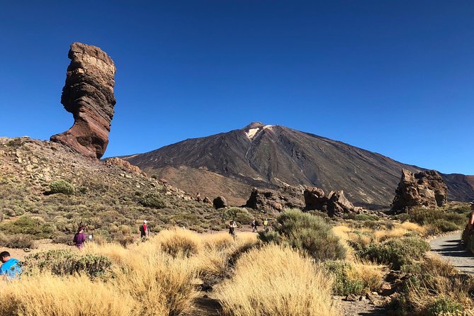 Tenerife Grand Tour: including Teide National Park and Masca - Is $66.08 good value?