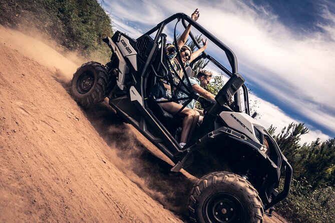 Tenerife: Guided Buggy Discovery Tour around Mount Teide - Key points at a glance