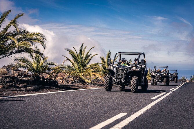Tenerife: Guided Buggy Discovery Tour around Mount Teide - What this buggy tour is really about