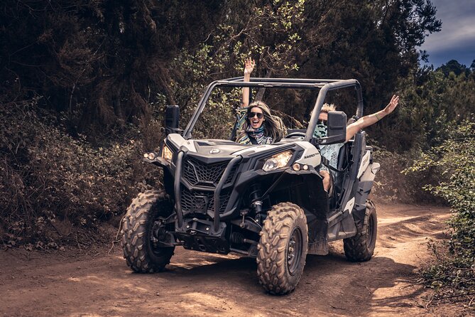 Tenerife: Guided Buggy Discovery Tour around Mount Teide - Mirador Lomo Molino and Teide panoramas
