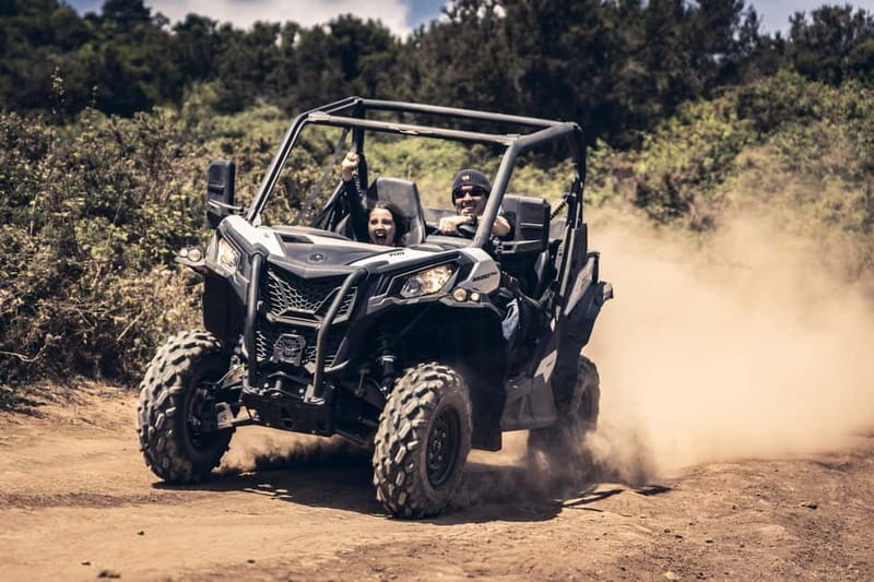 Tenerife: Guided Buggy Discovery Tour around Mount Teide - Why the small-group format matters