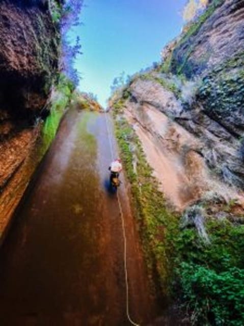 Tenerife: Guided Canyoning Experience in Los Arcos - Seven different descents through volcanic ash